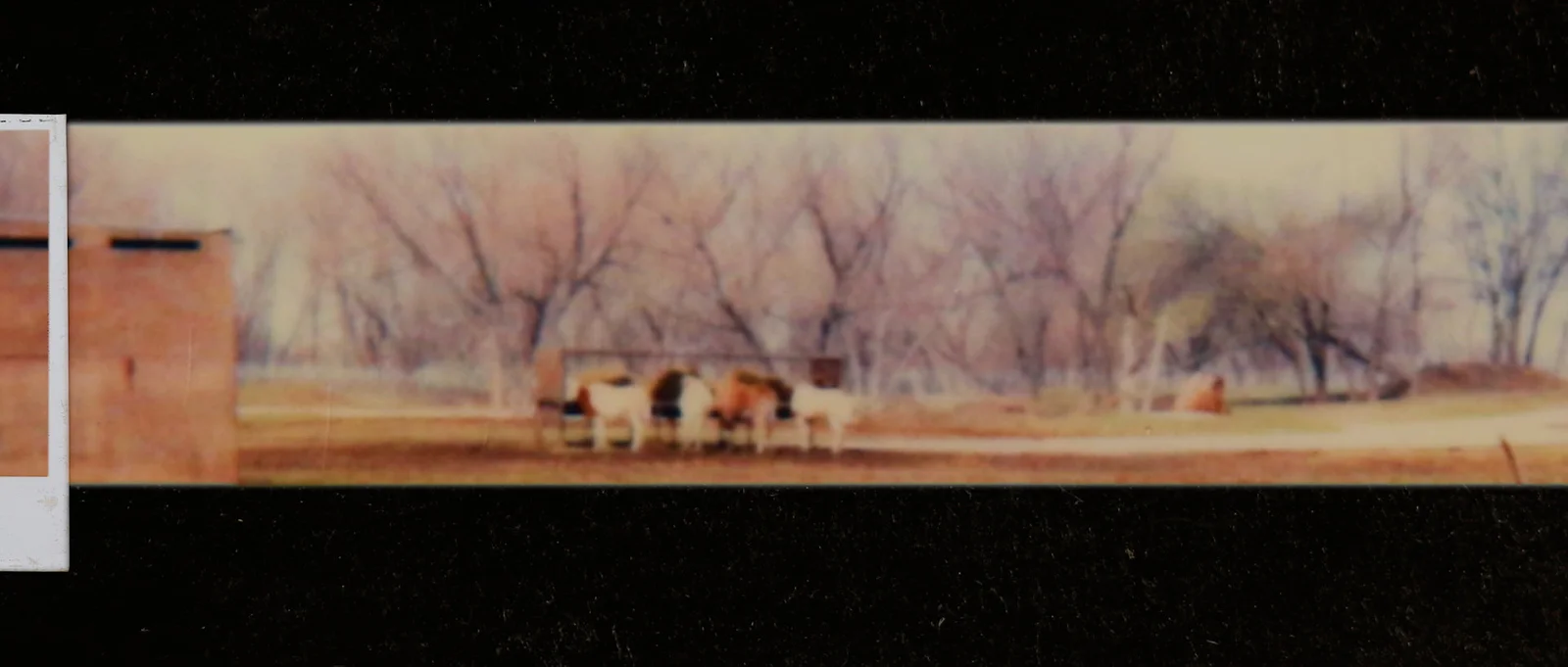 the first memory with you