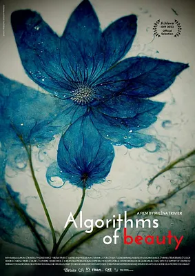Algorithms of Beauty