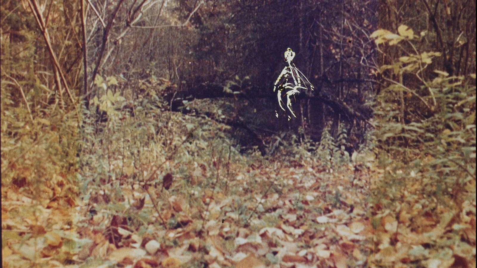 The Dissolution of the Landscape