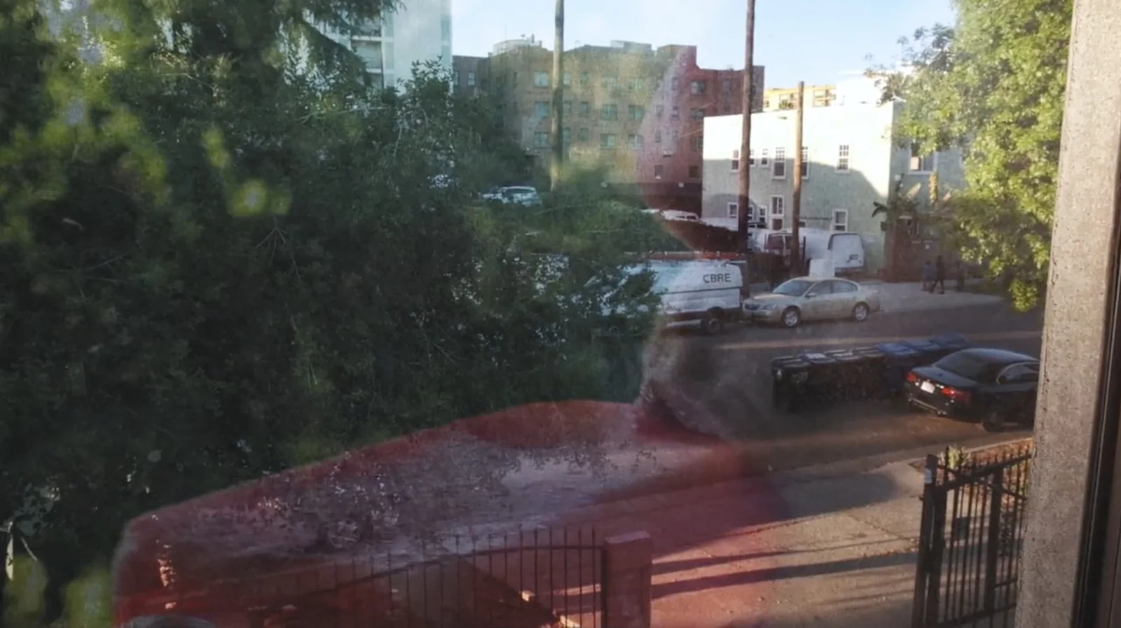 Same/Different/Both/Neither