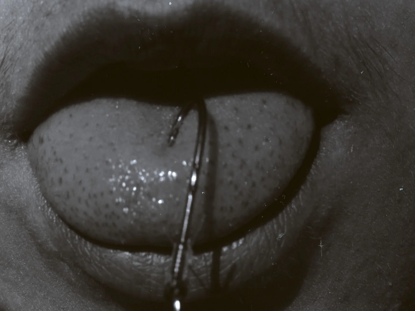 the house was there before me