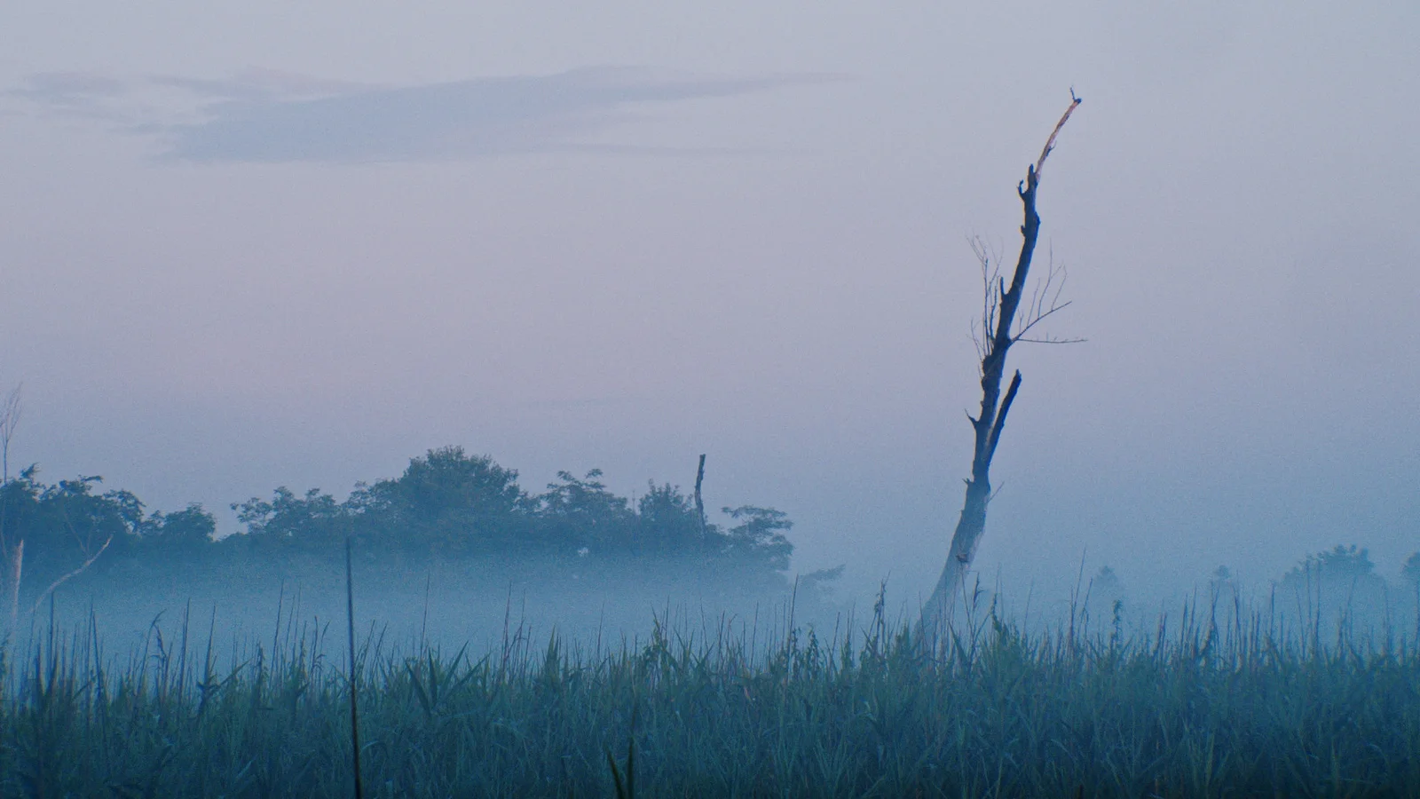 Women Minor Speculations