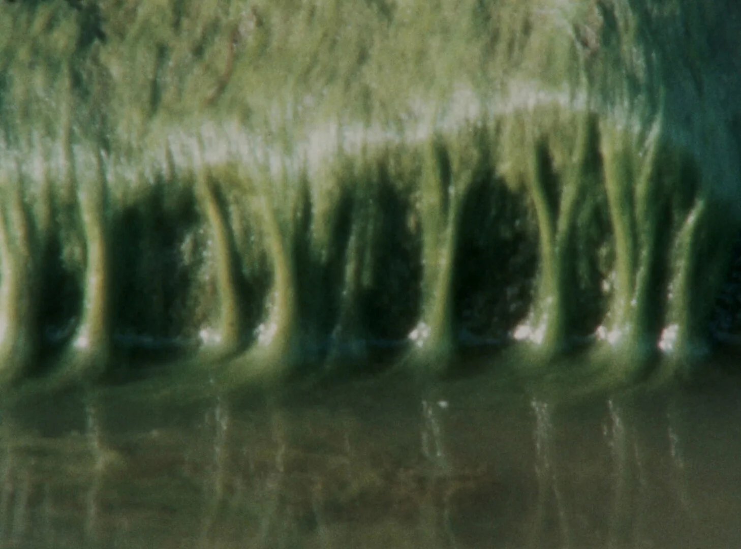 Does the Sea Have a Heart?