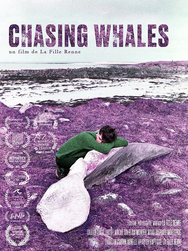 Chasing Whales