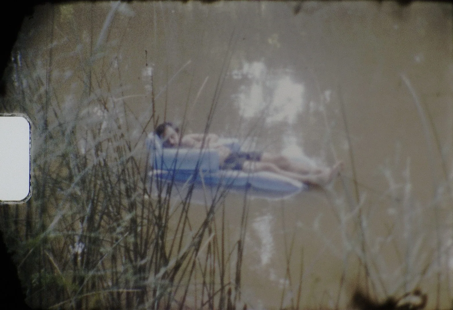 The Impossible Flowers.