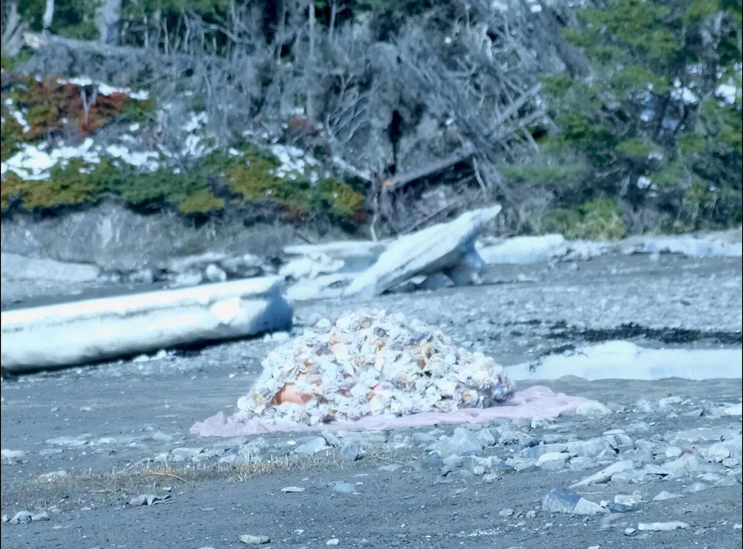 Después del silencio