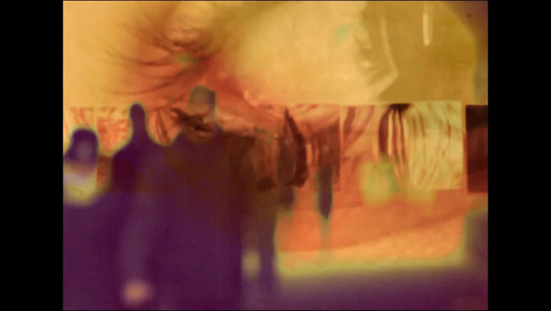 If the eye were an animal, its soul would be the sight