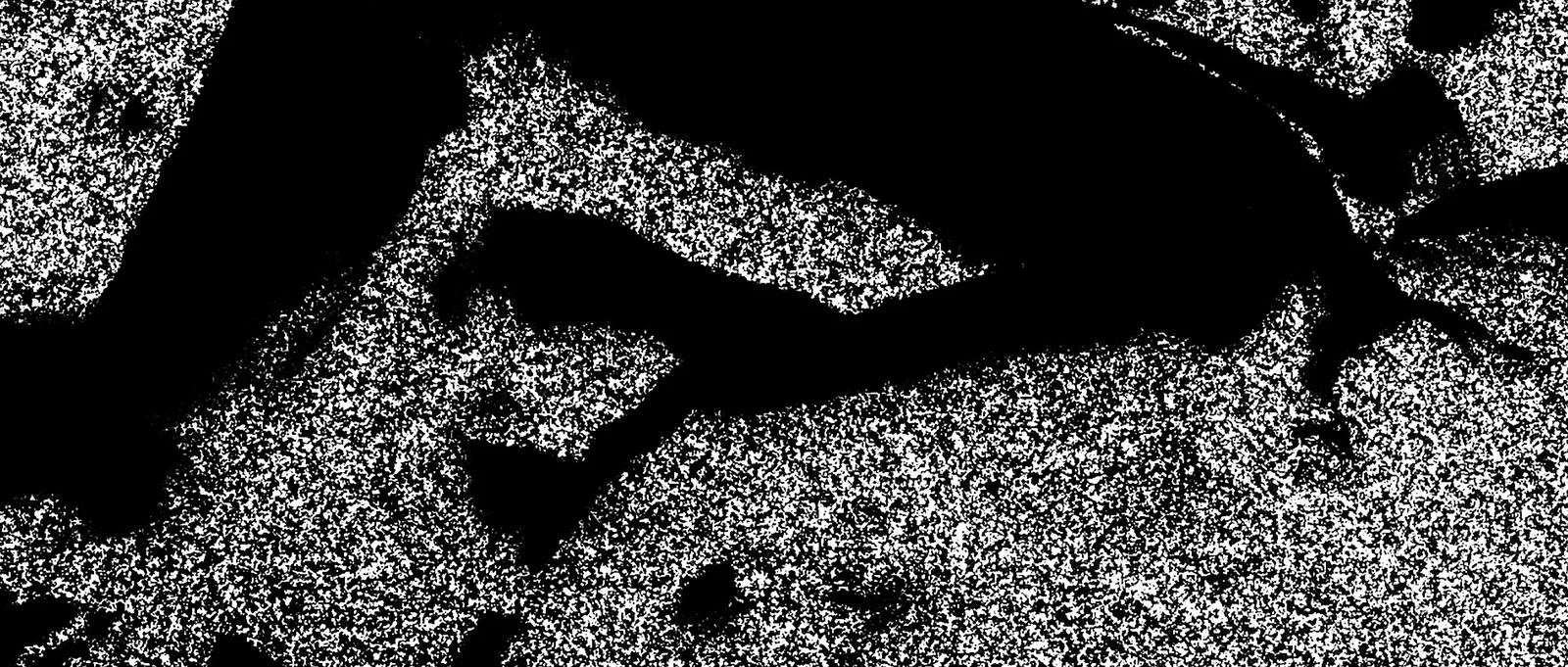 La dureté du mental (Mental toughness)