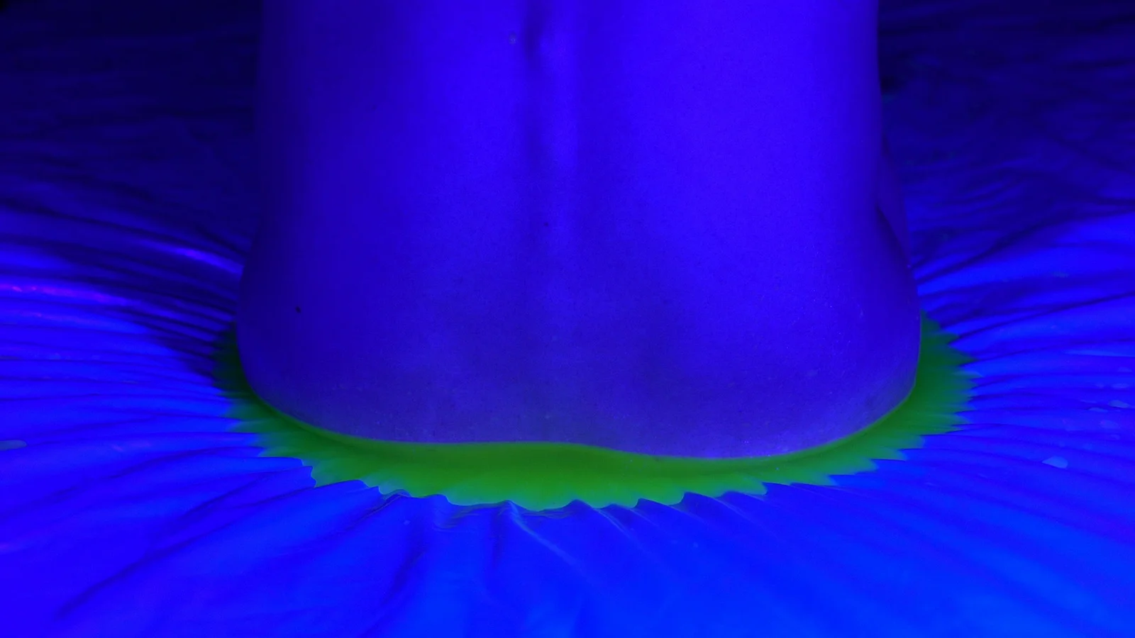 UNTITLED SEQUENCE OF GAPS