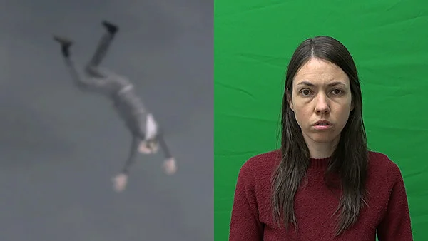 Alice's Four Stories