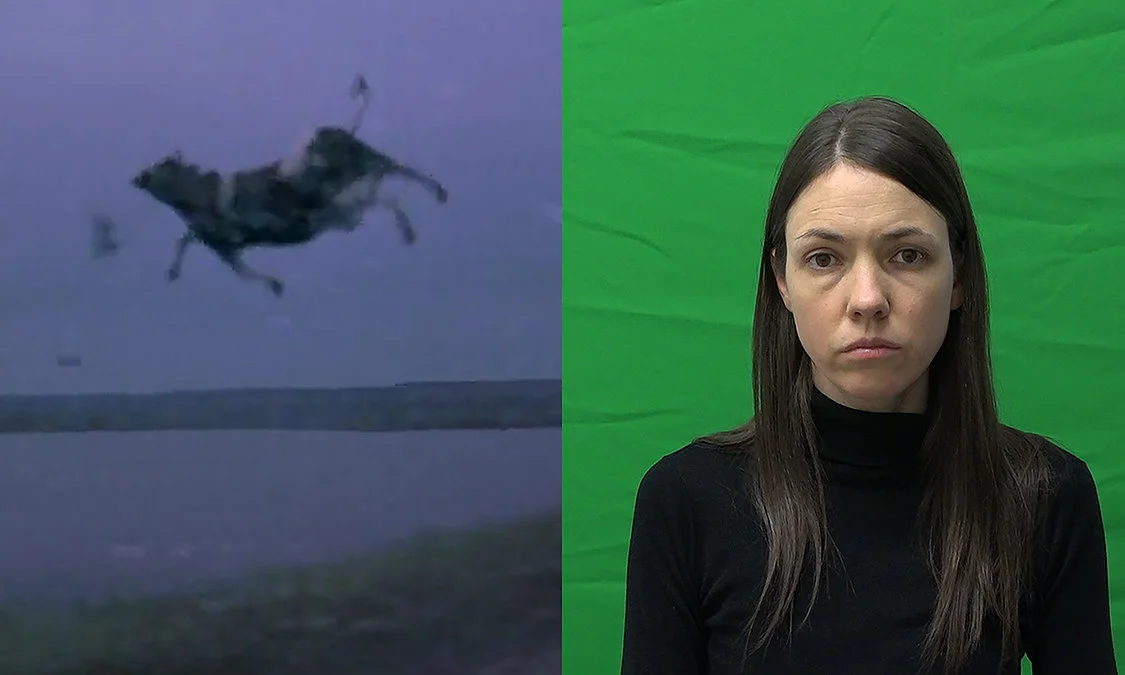 Alice's Four Stories