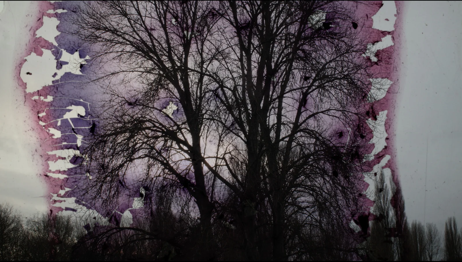 The End of the World