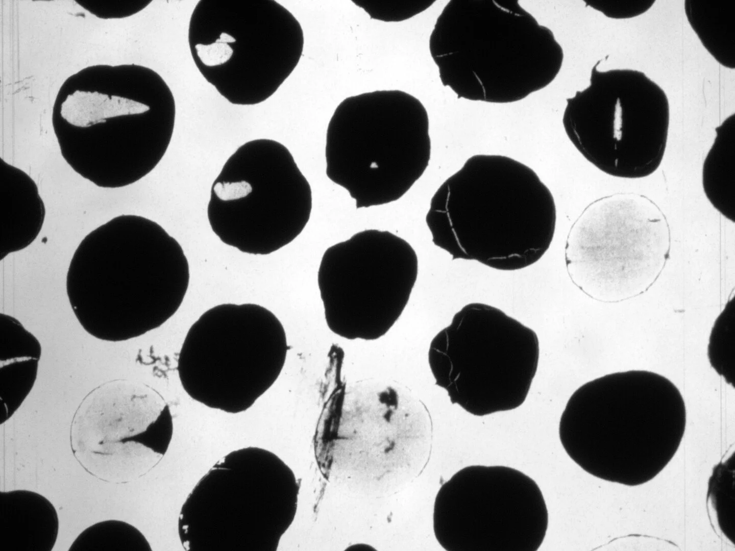 Licht & Ton (Light & Sound)