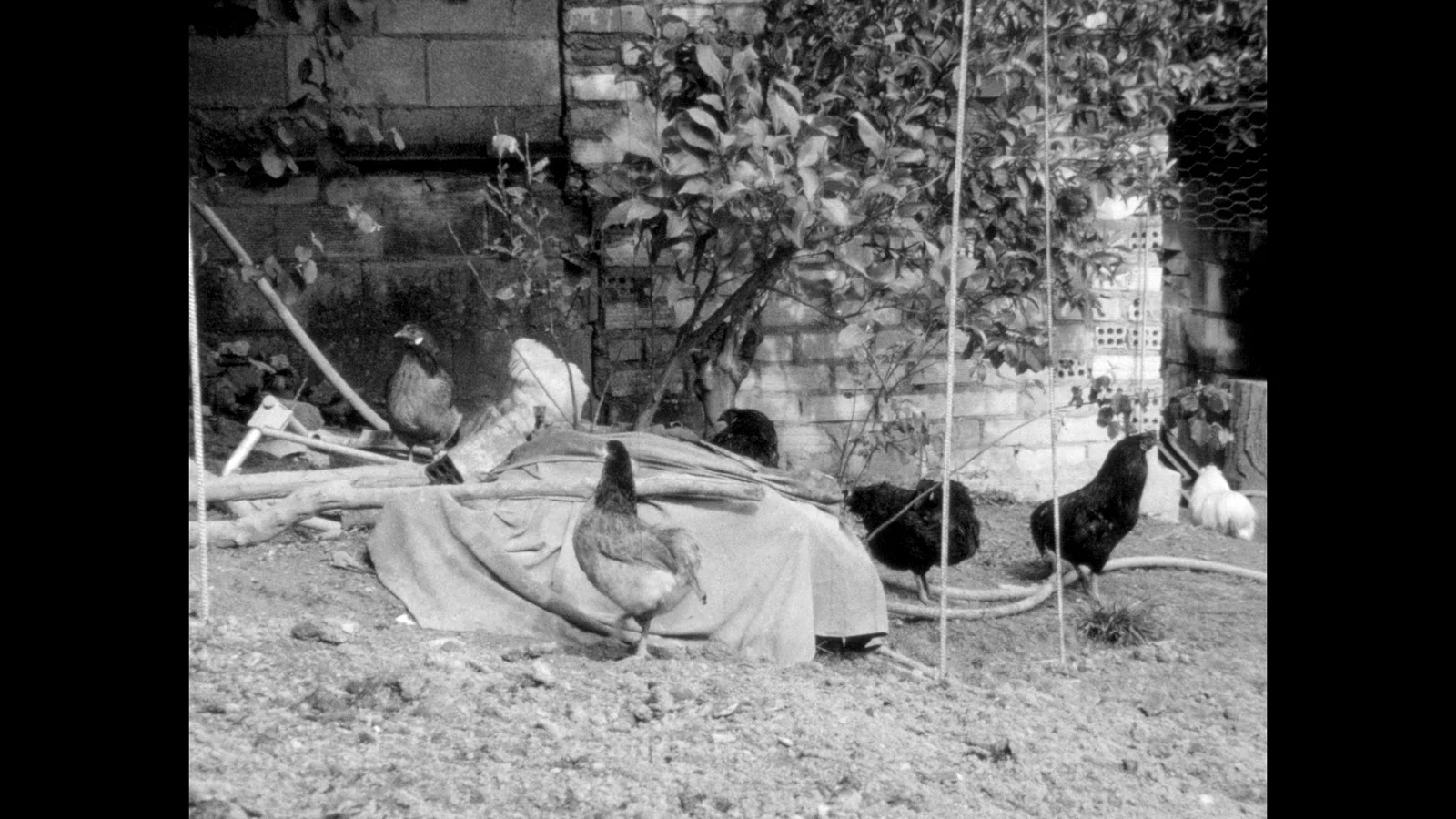 A wind grazes your door