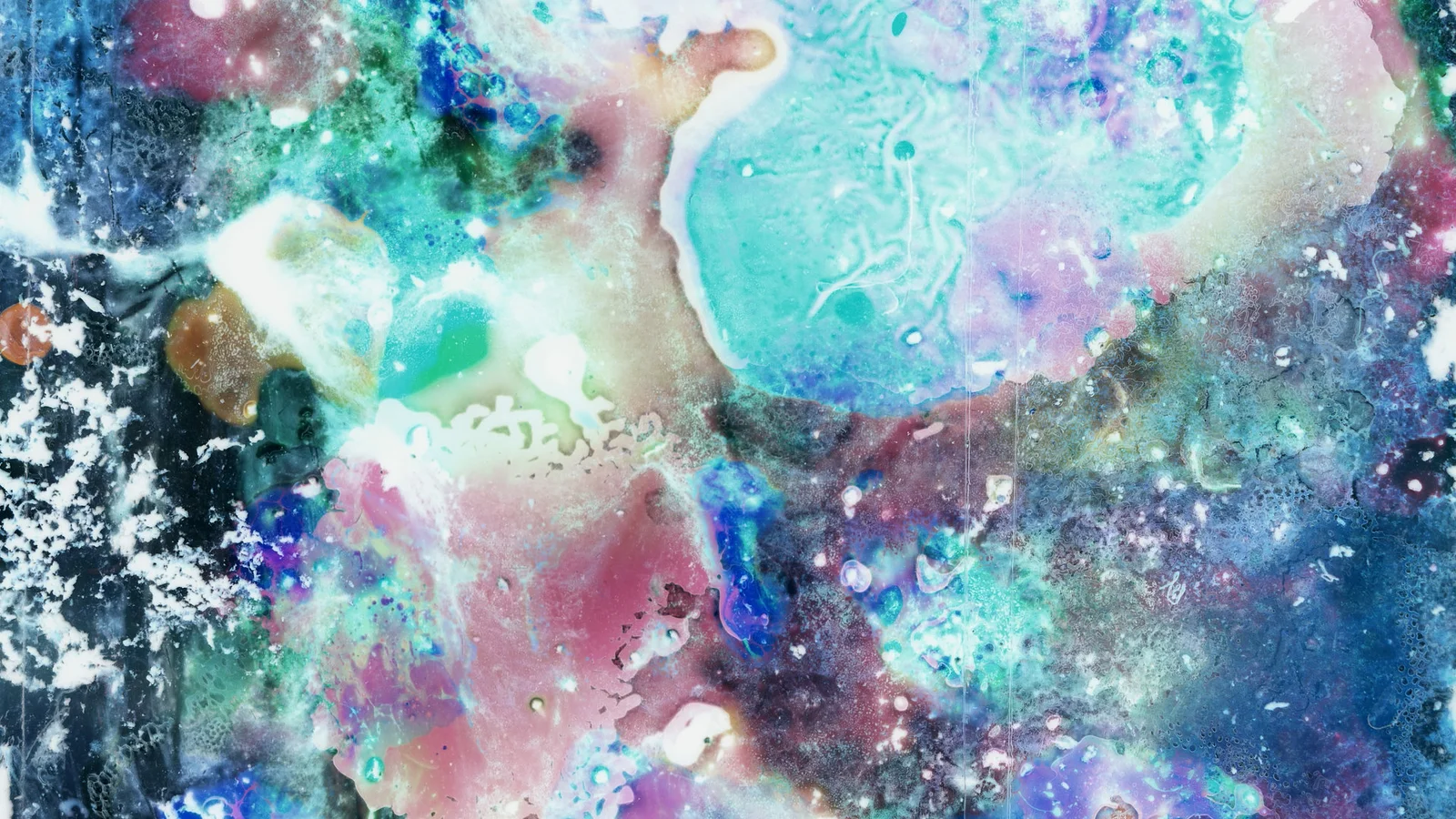 The last day of the luna moth