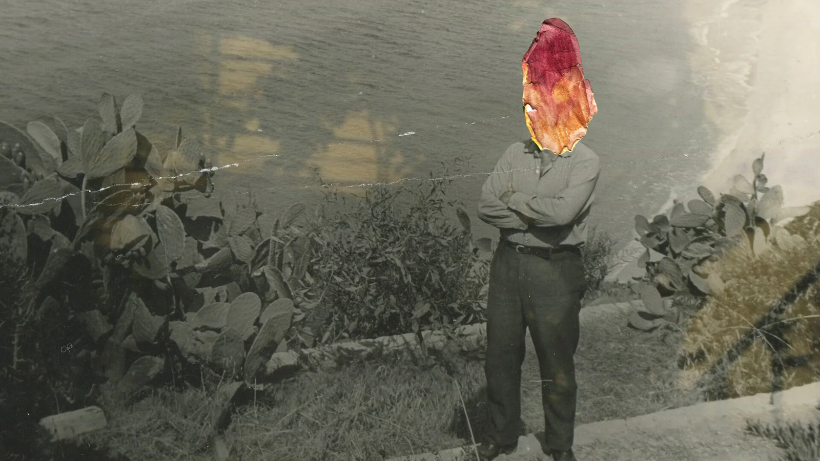 Between Delicate and Violent