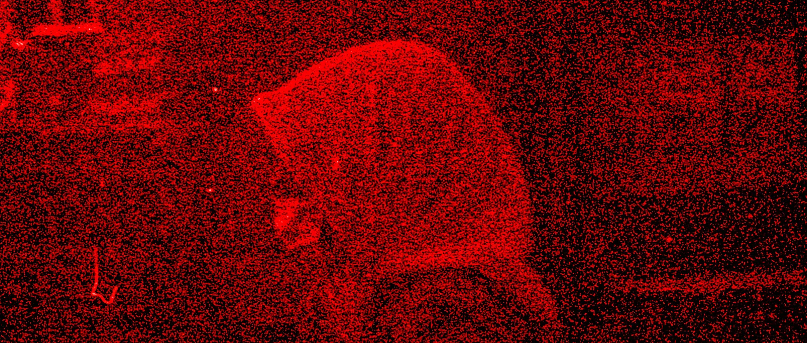 Embers from Yesterday, Aflame.