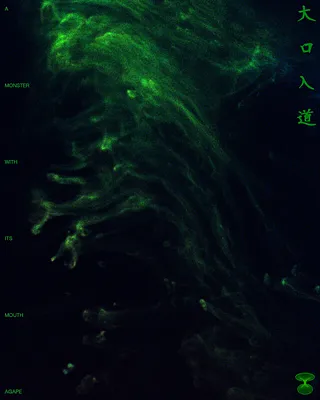 A Monster with Its Mouth Agape