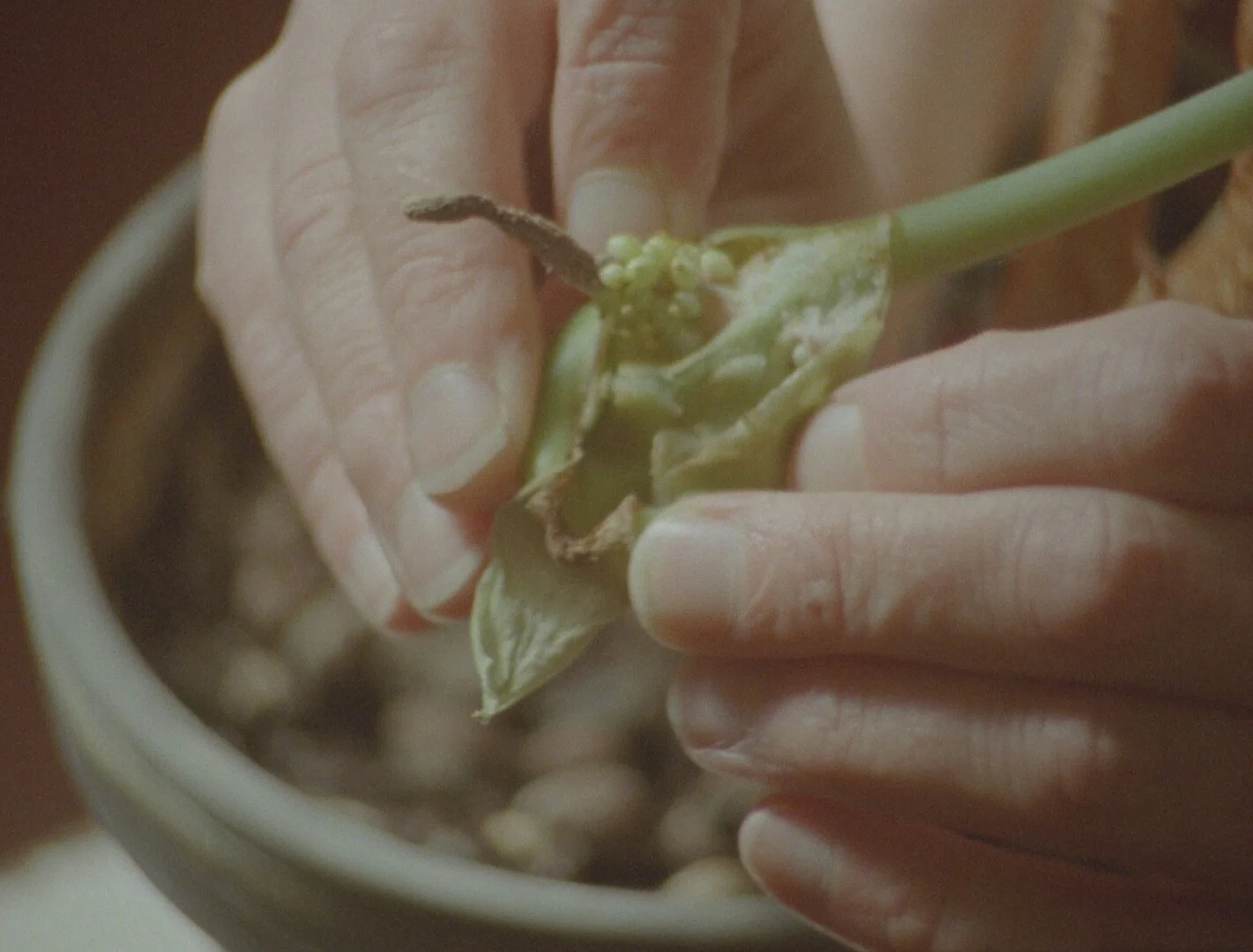 Barefoot Birthdays on Unbreakable Glass 