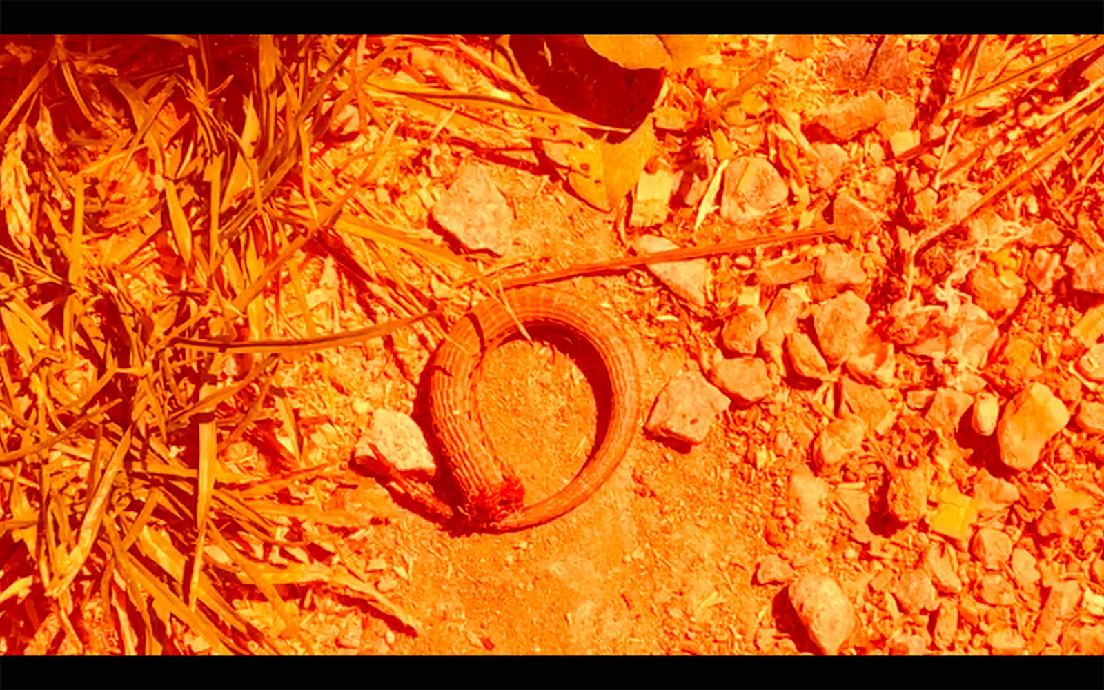 Foundations of the Work of the Sun