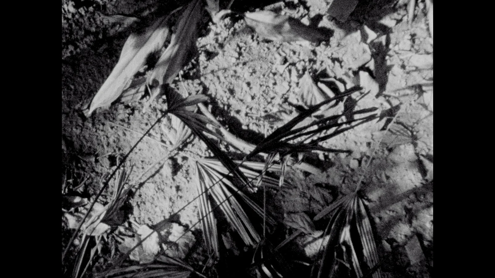 from time without beginning