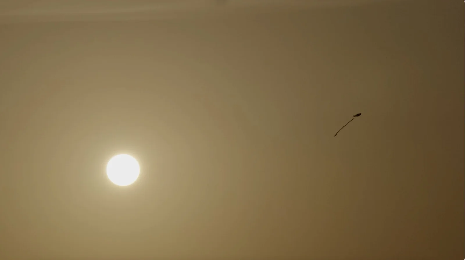 Chasing the Sun: El Shatt