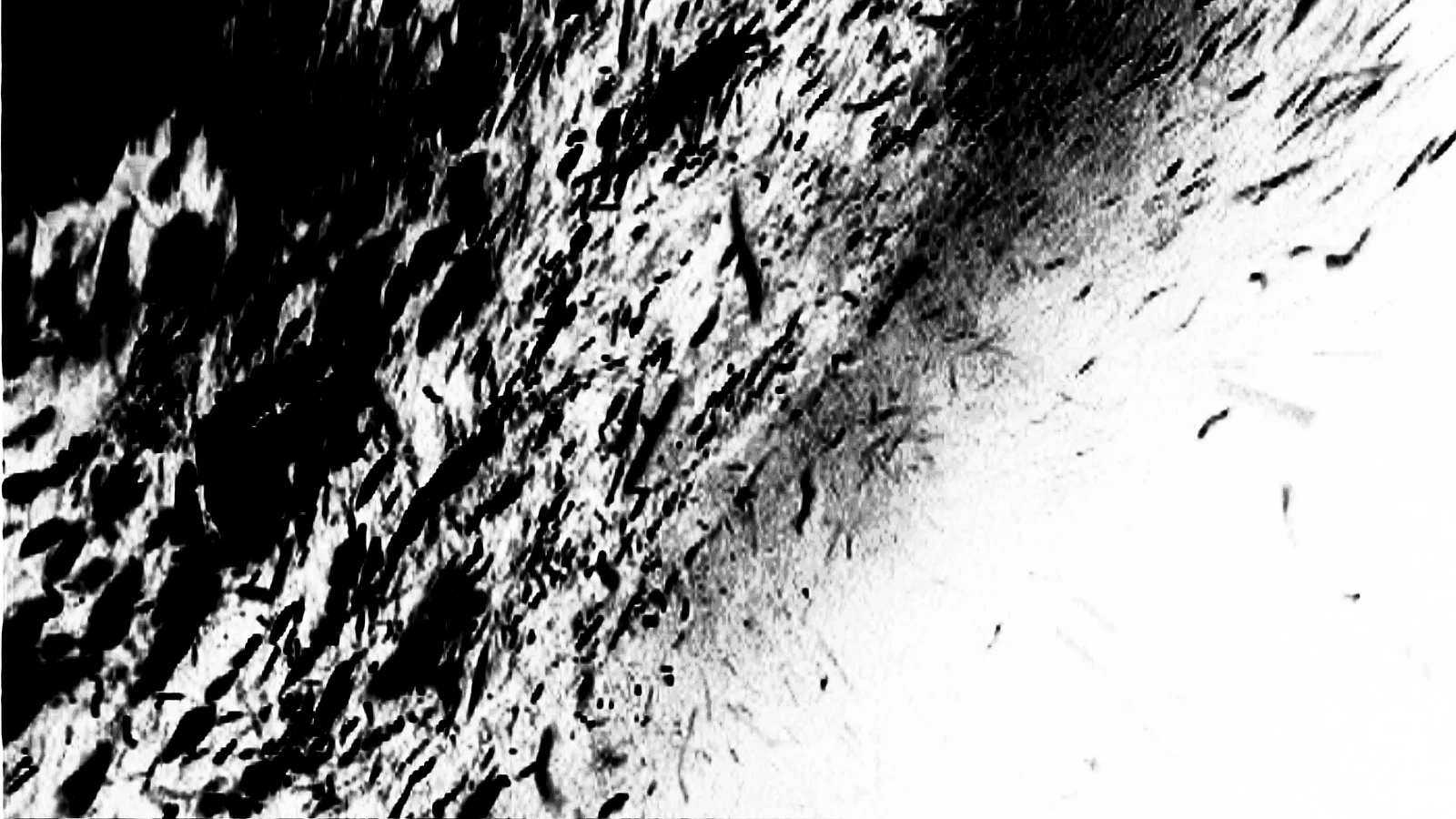 Circles of Confusion