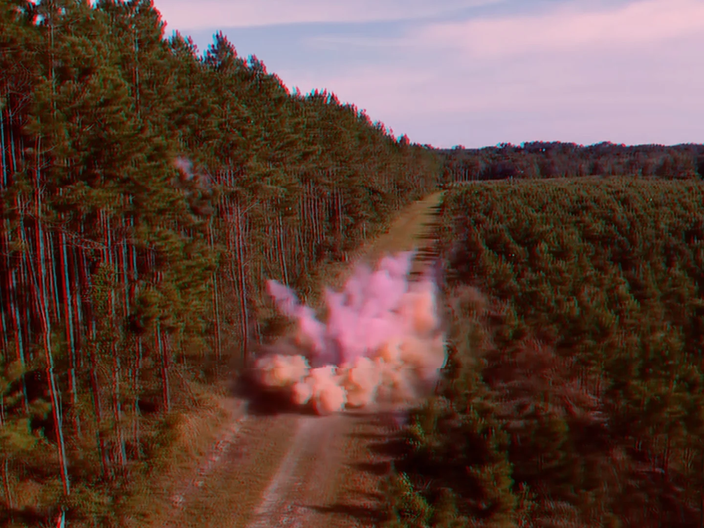 Genital Reveal Party