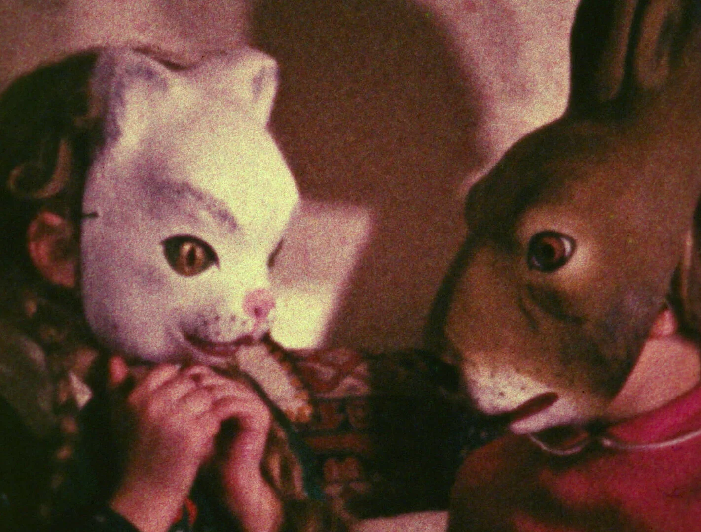 The Insides of our Lives 