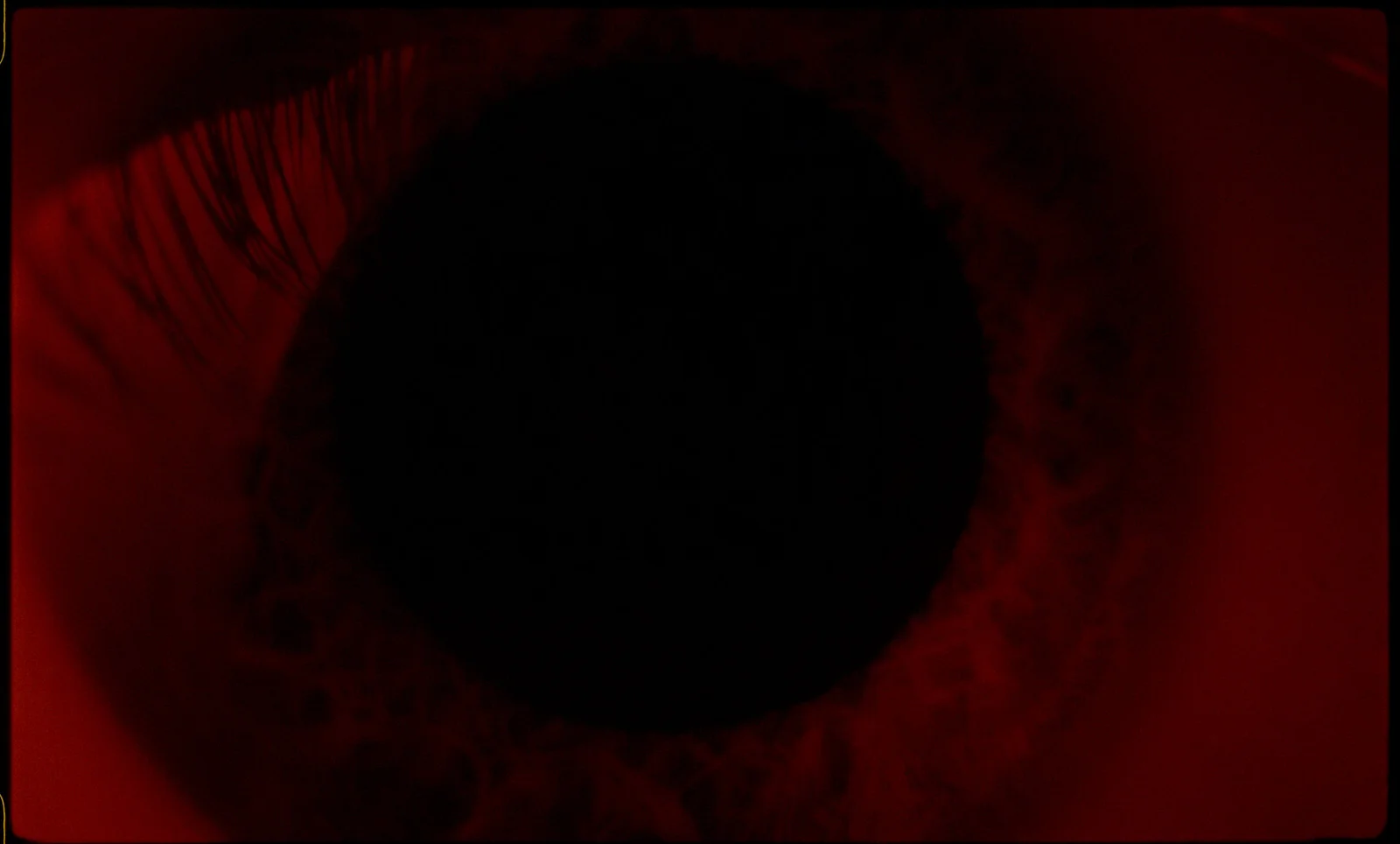 The Bearers of Memories 