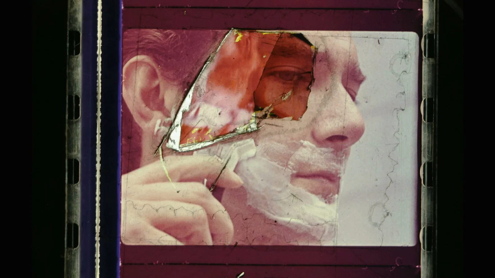 the Garden of Delight