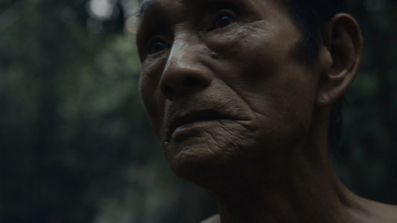 Good bye, Old Airão