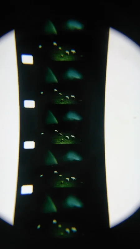 Darkness, Darkness, Burning Bright