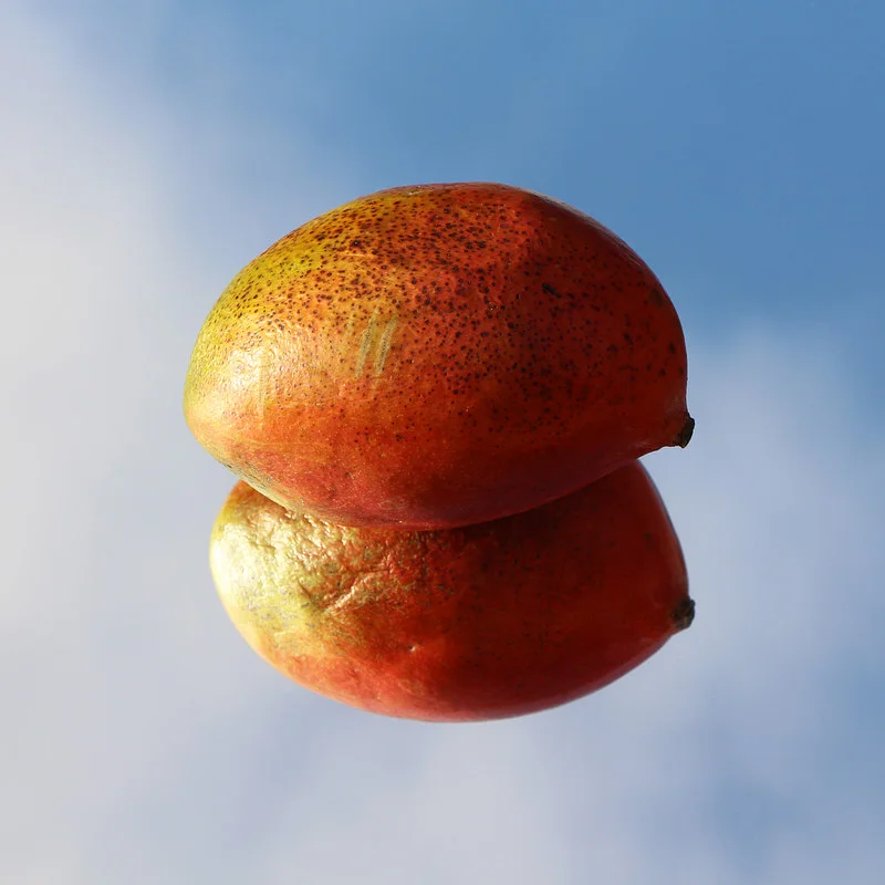 Ross Blake - ‘Ages’ (official video)