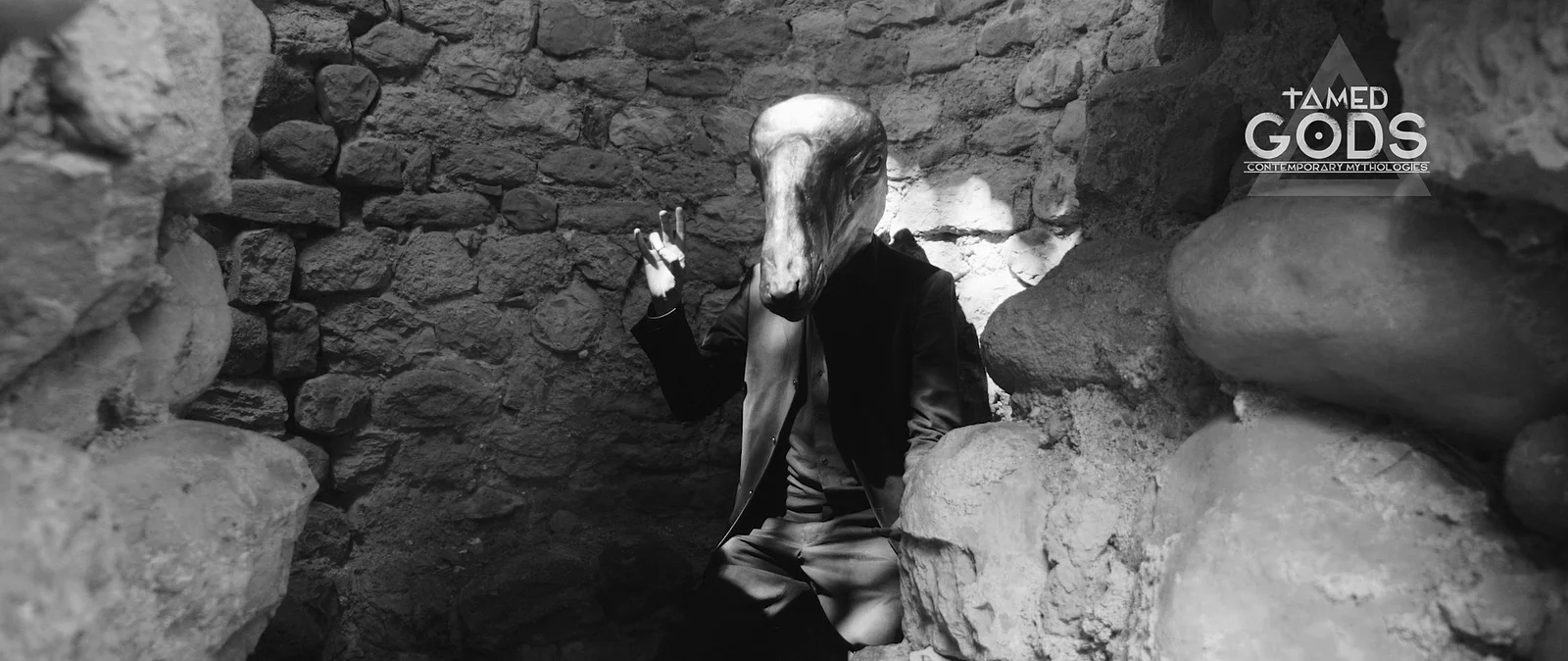 Tamed Gods: The Origins of Abundance