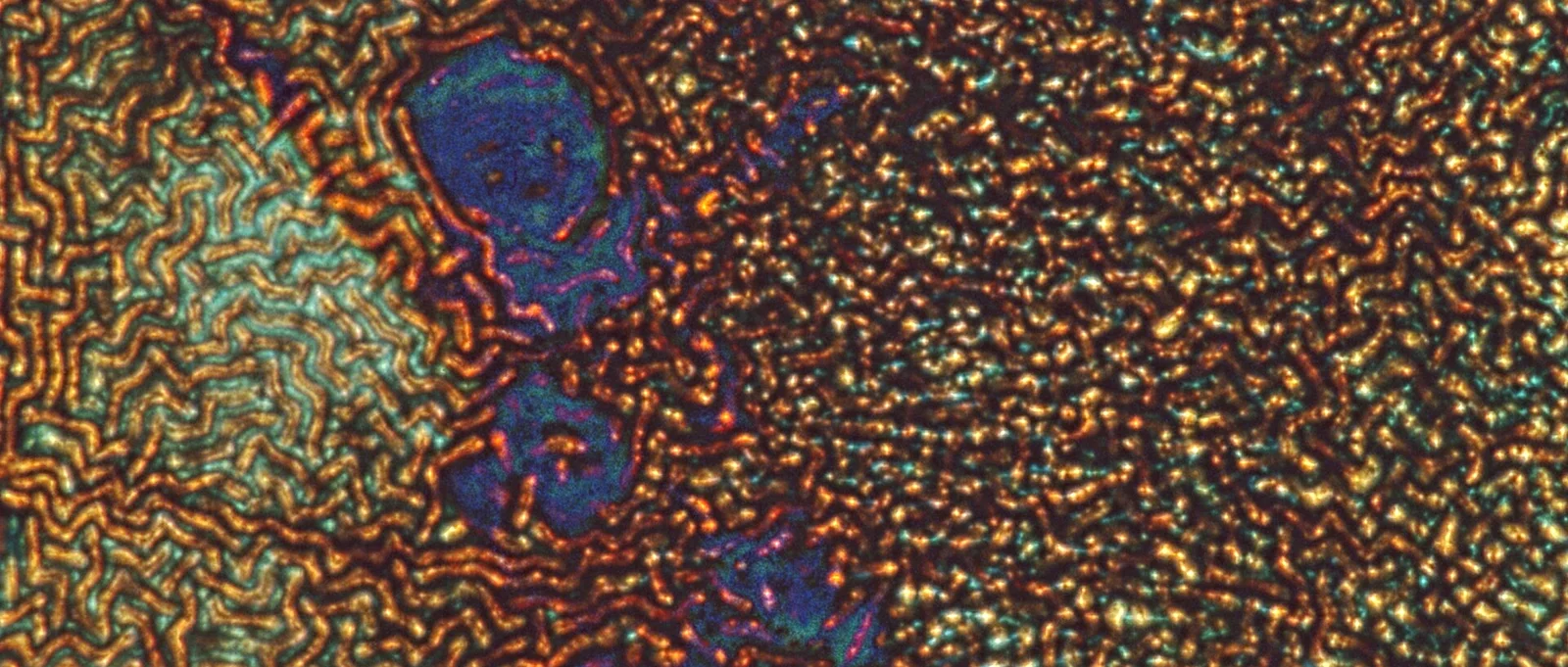 La dureté du mental (Mental toughness)