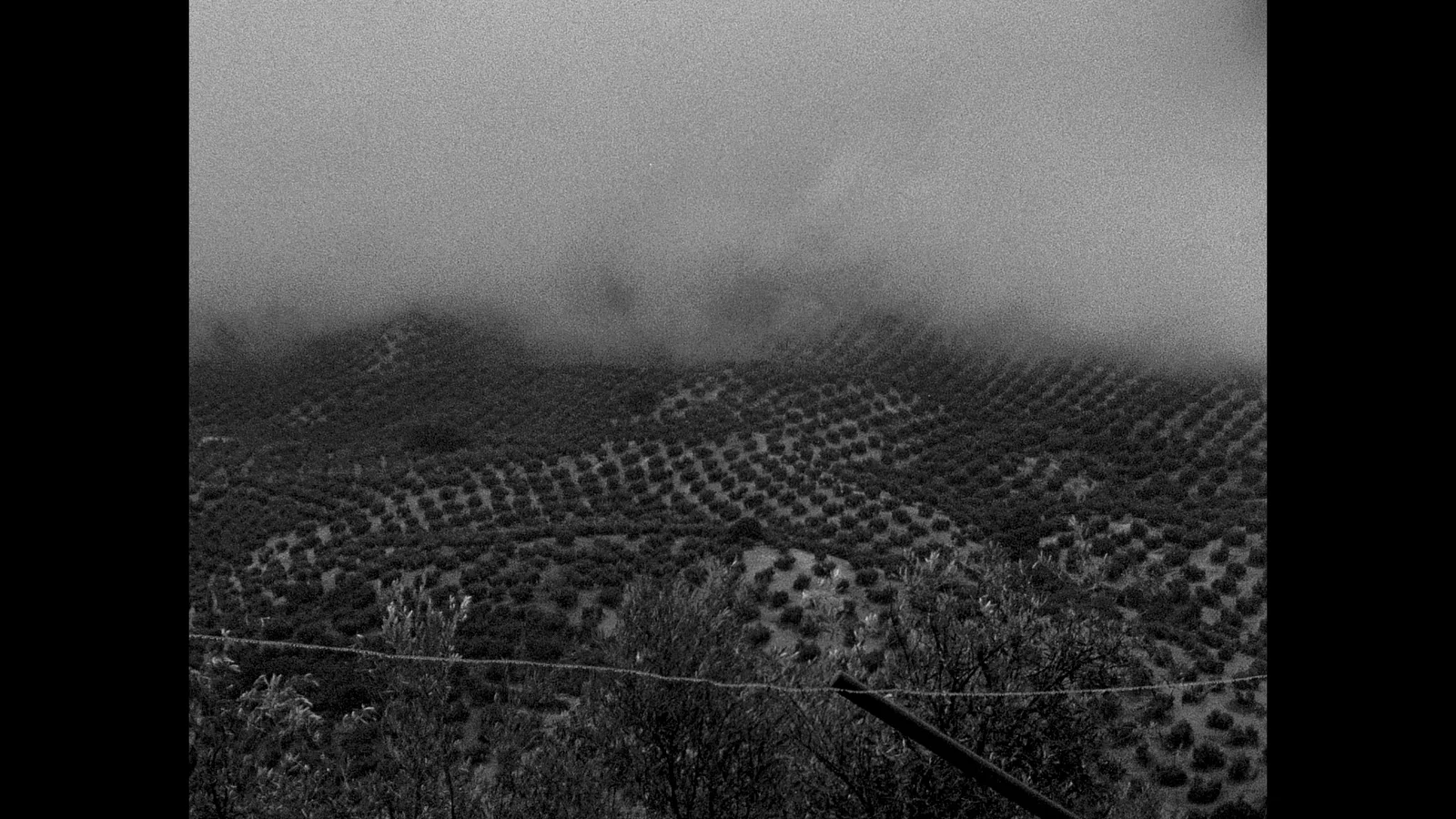 A wind grazes your door