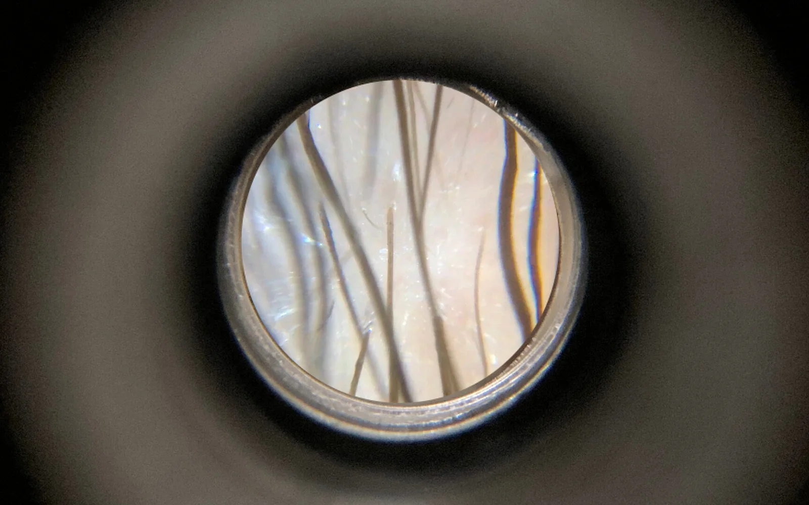 Foundations of the Work of the Sun