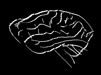 Reptilian Freeze Reflex