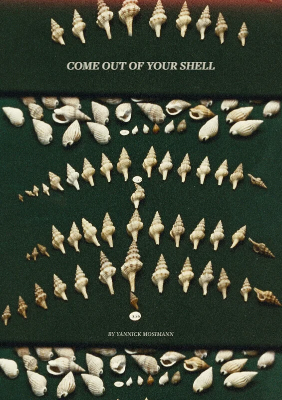 Come out of your shell