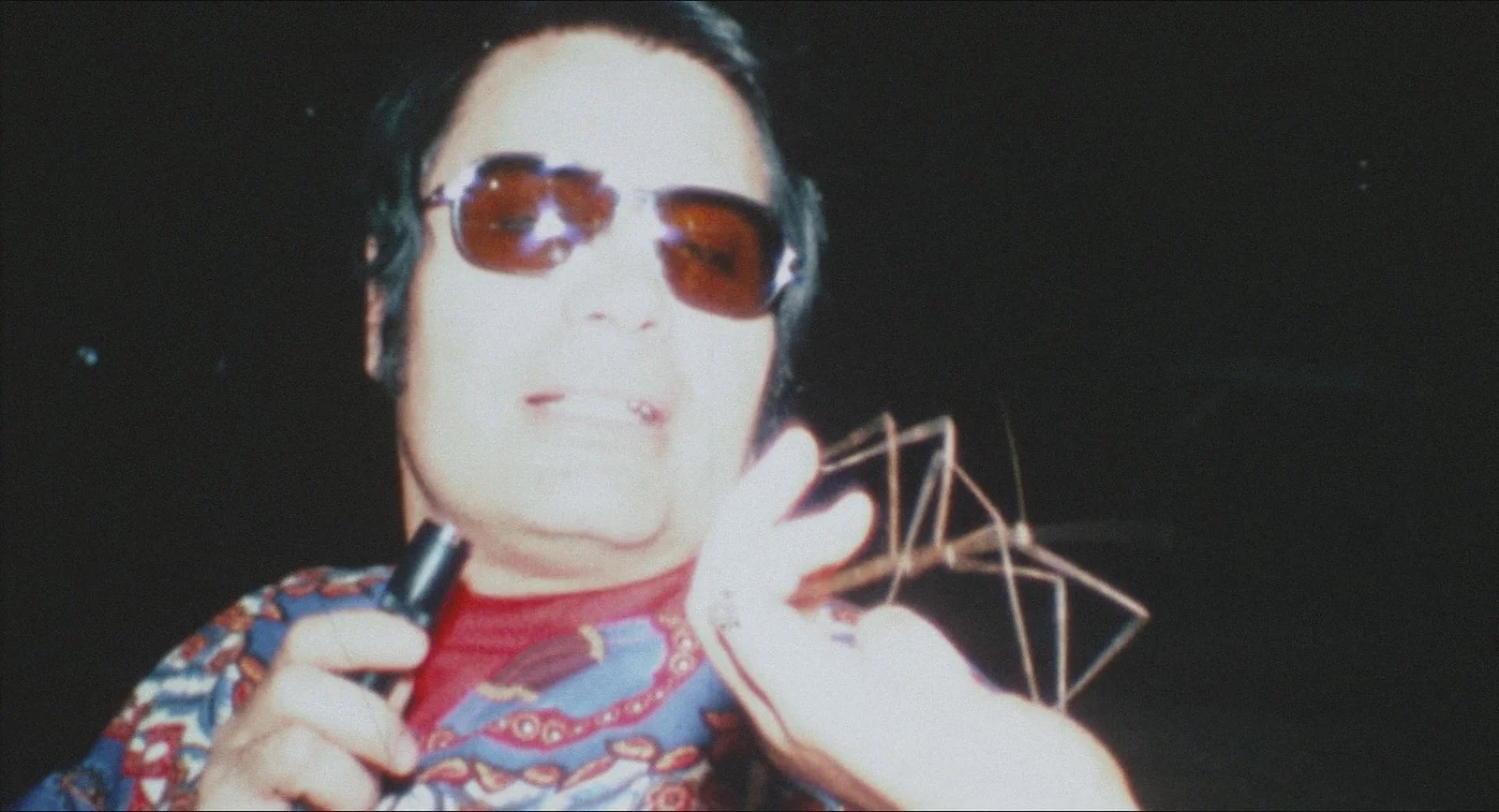 IN PARADISUM le véritable dragon rouge