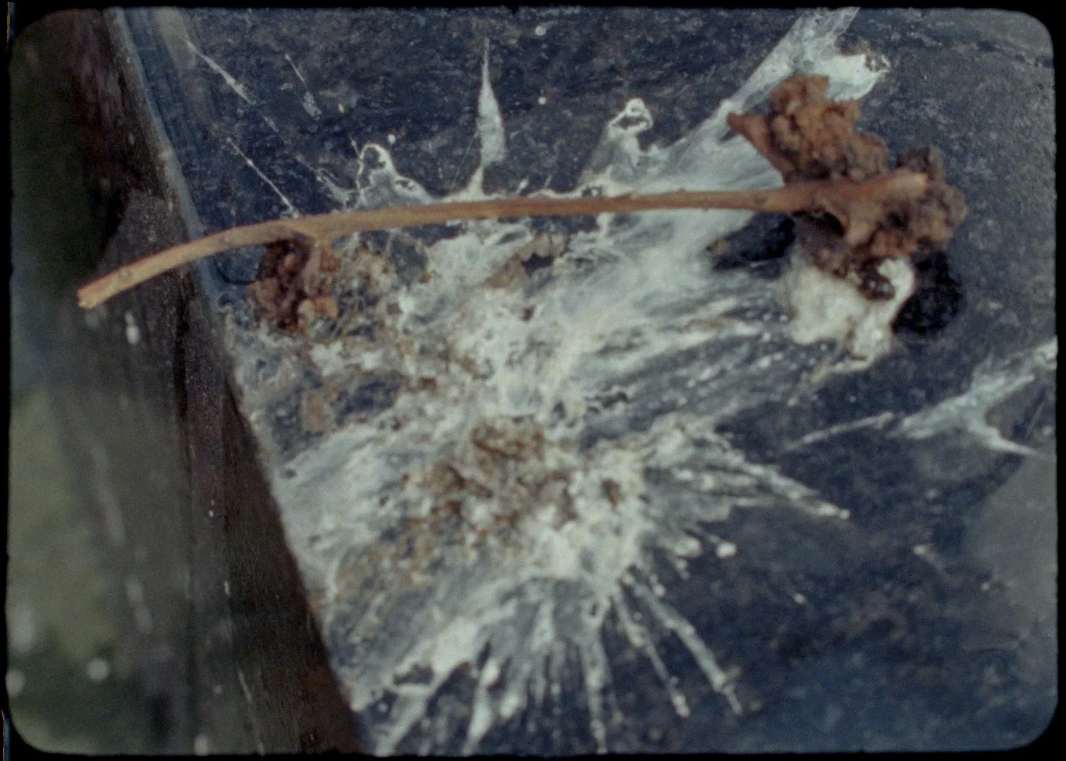 The Land of the Raven from the Ark