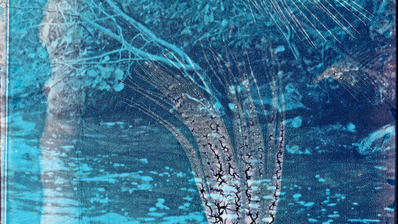 The Dissolution of the Landscape