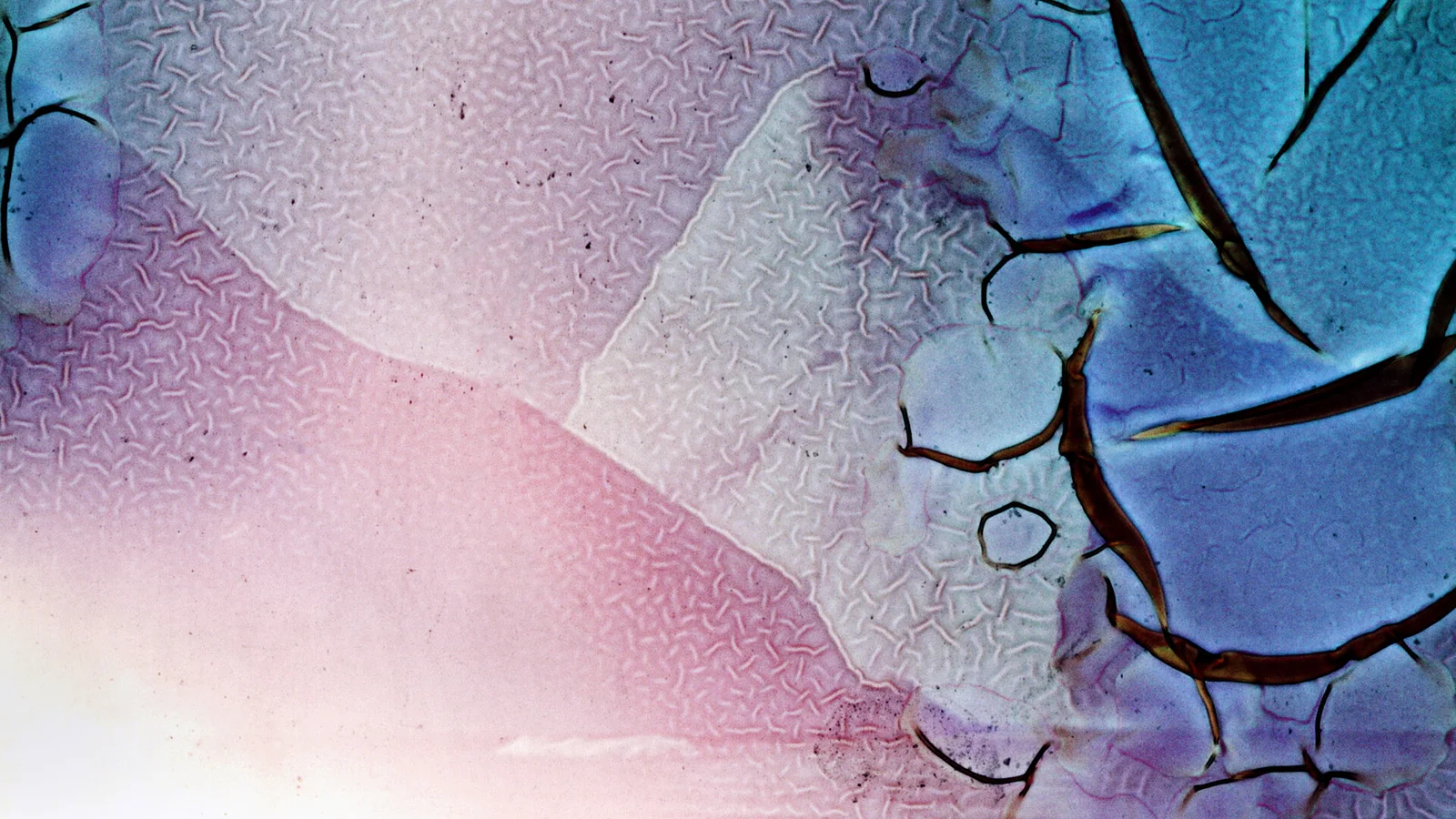 An Uncertain Eternity