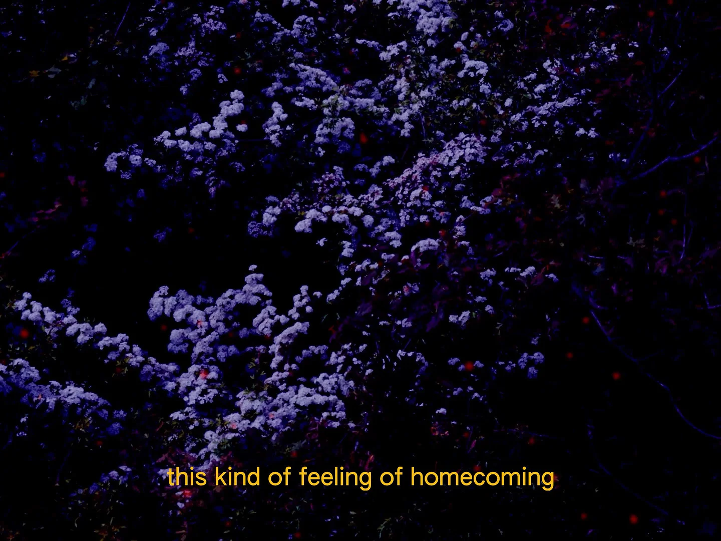 (Un)earthing - plant knowledge and dreams 