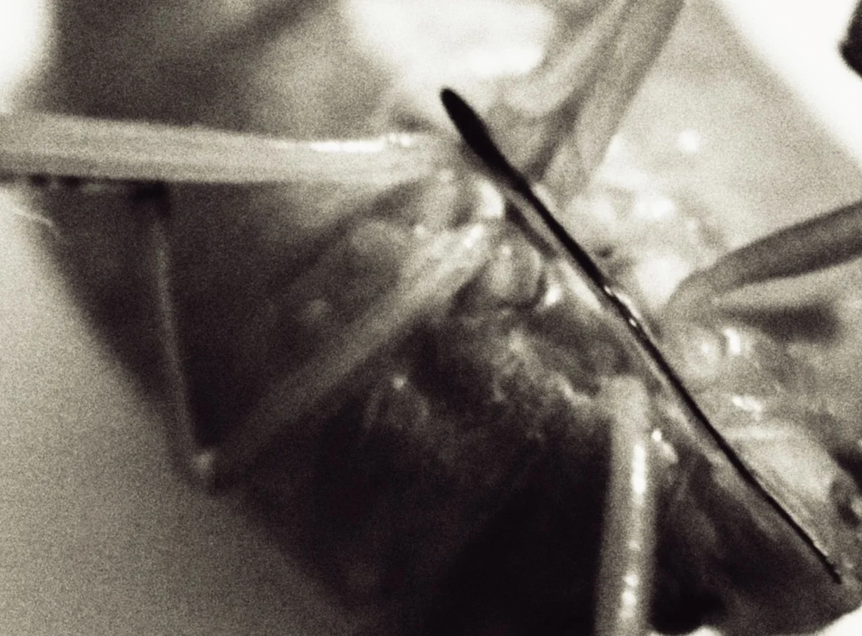 Things I Don't Remember