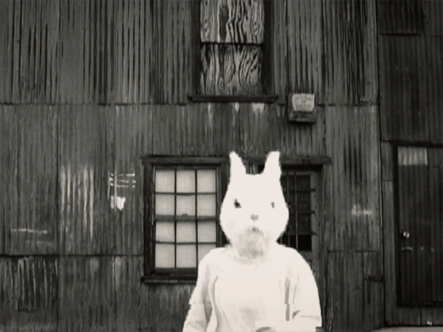 A Disordered Dictionary