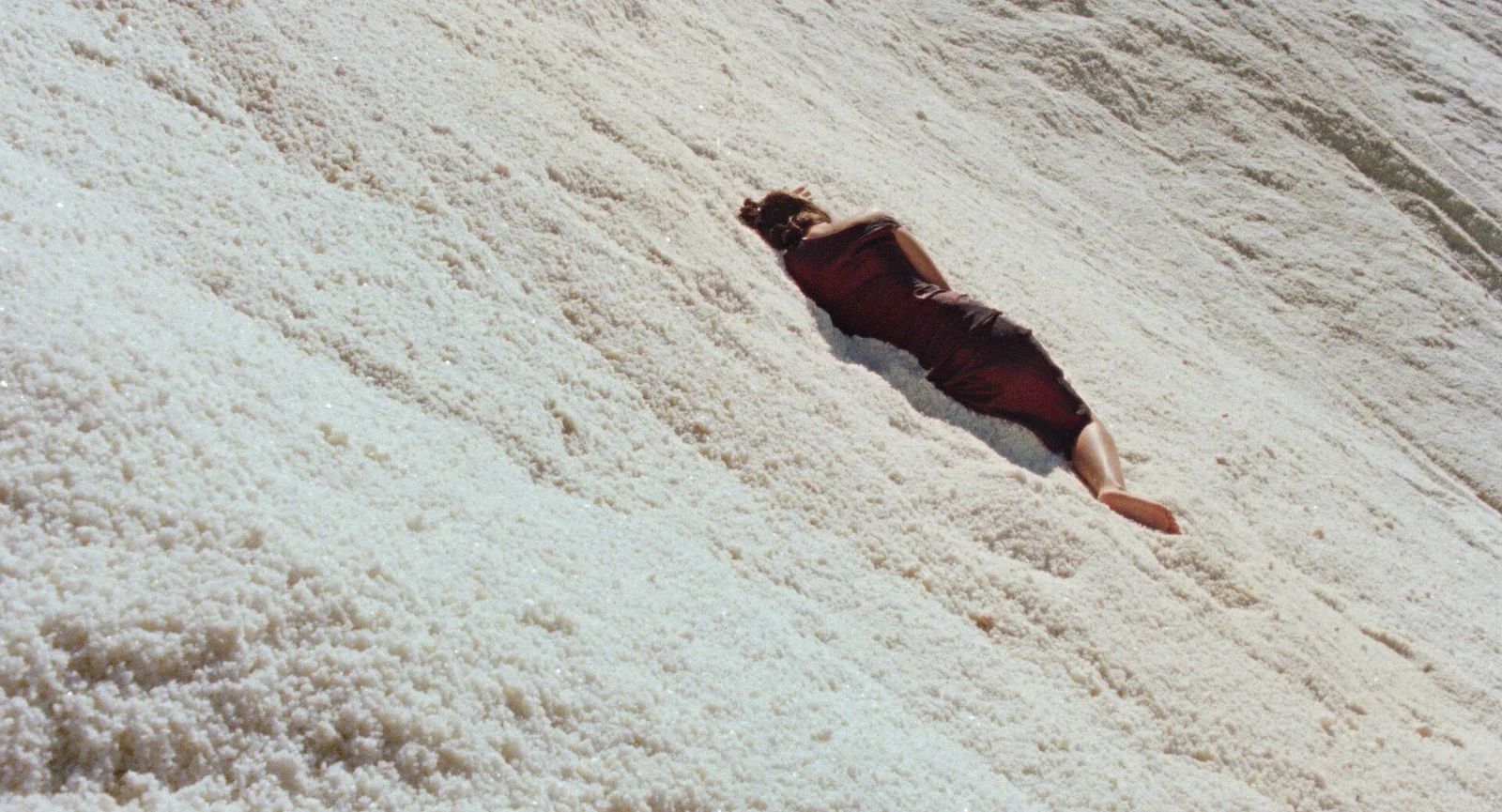 The Loneliness of Lizards