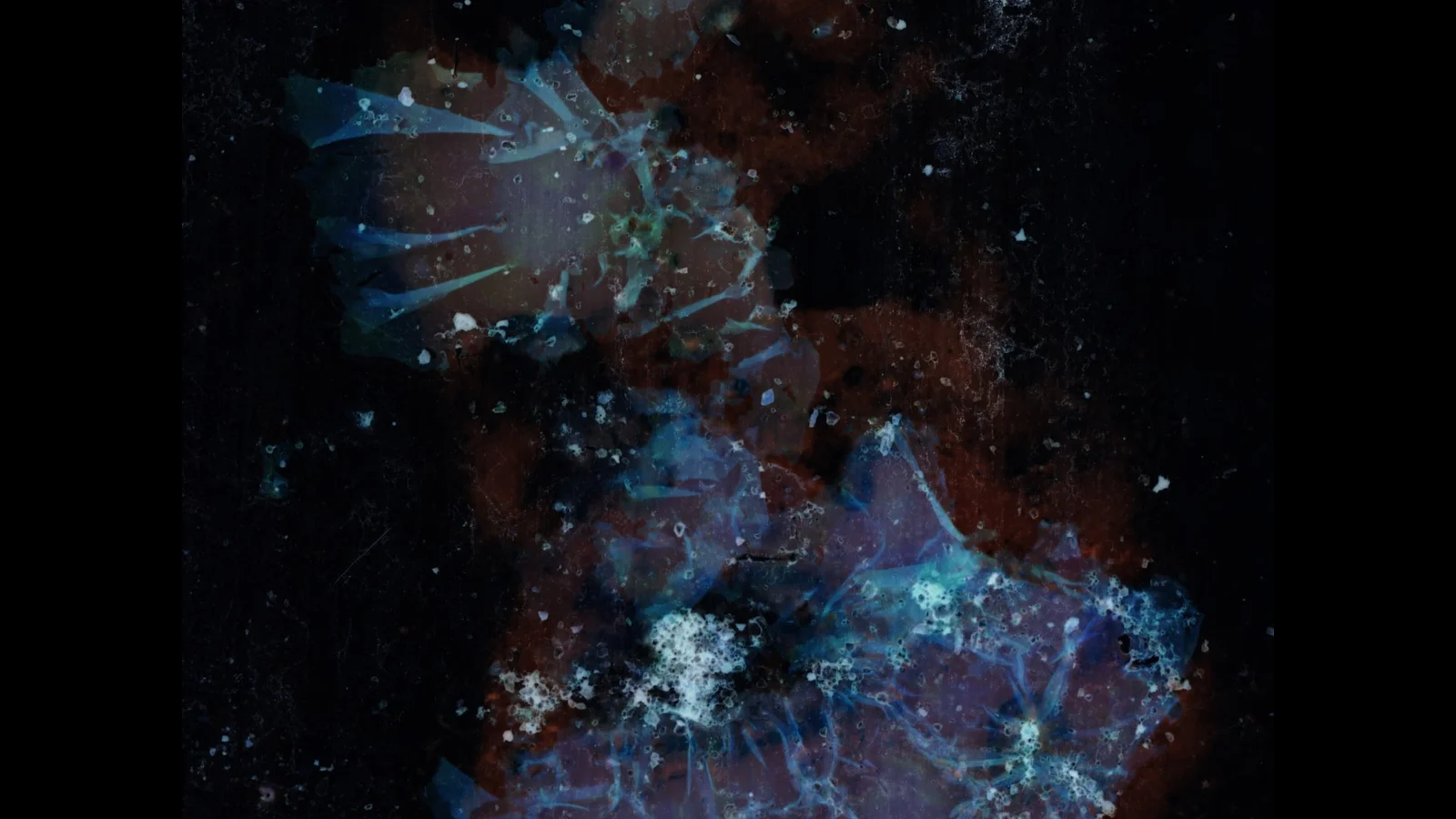 from time without beginning