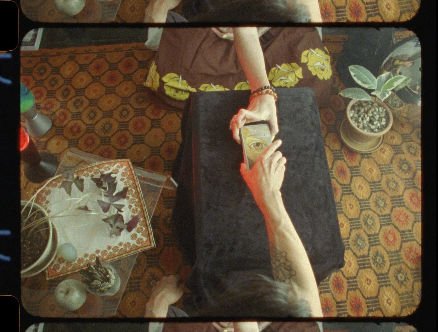 The Treasury of Human Inheritance